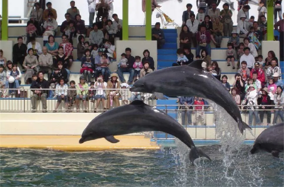 越前松島水族館