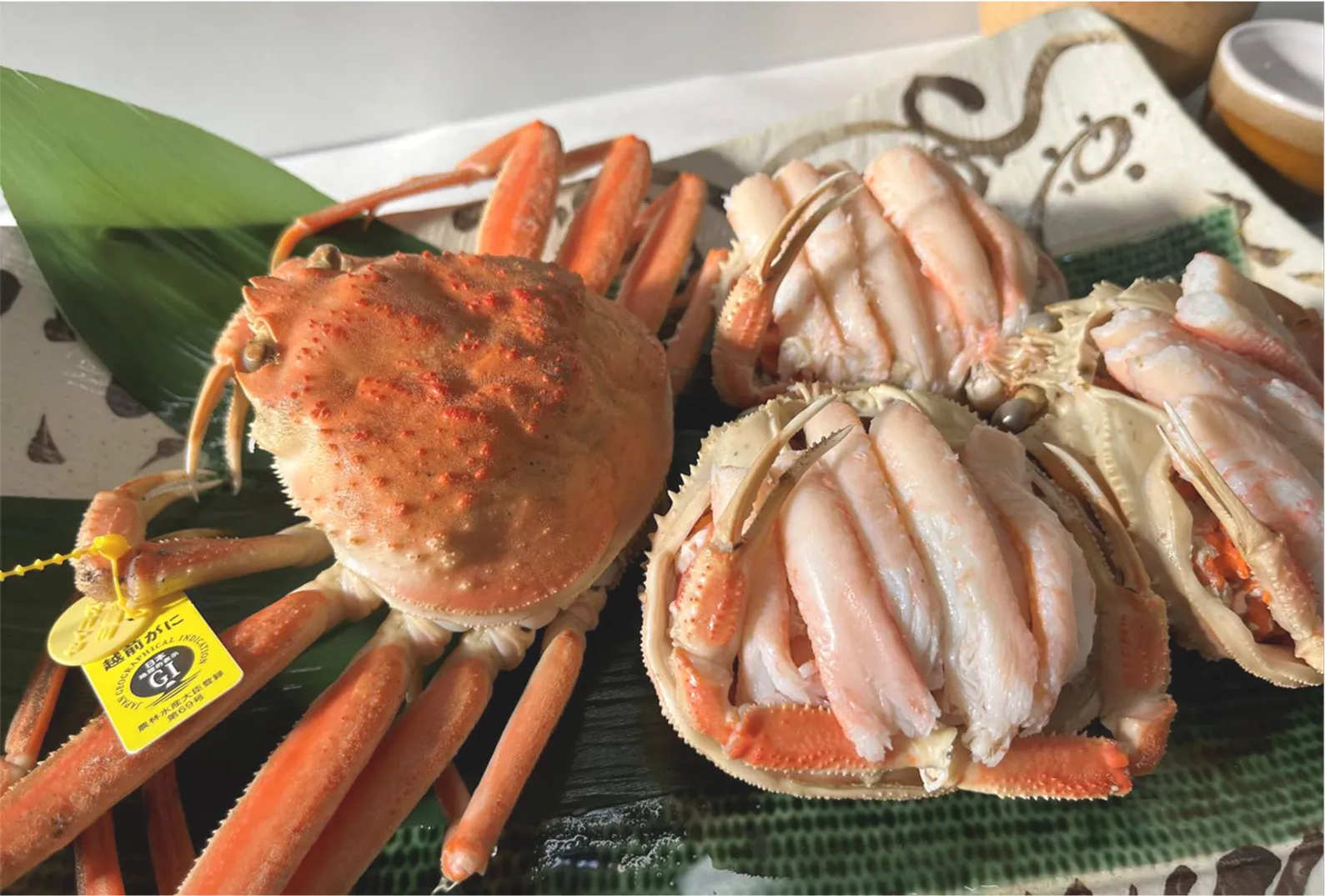 Echizen Crab 03